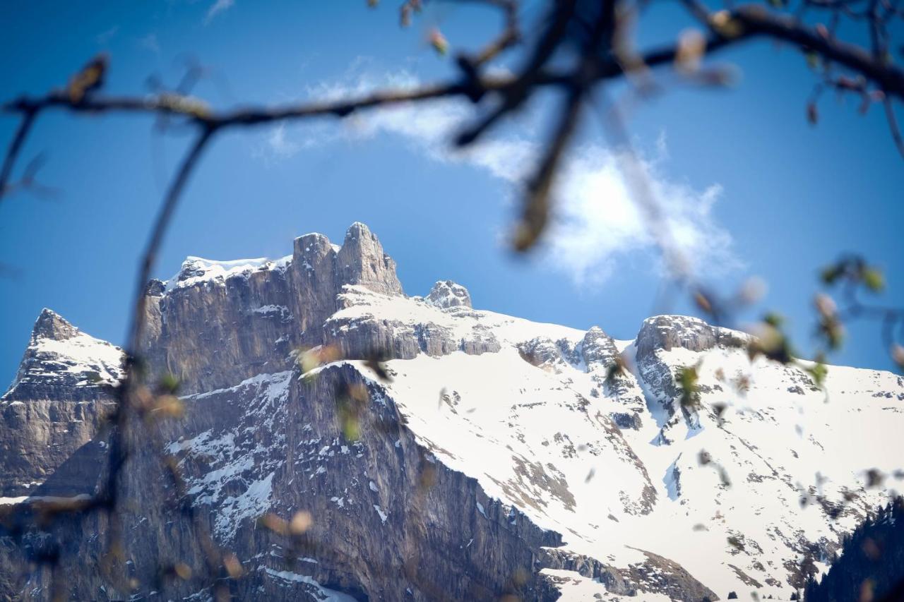 Hotel Alpina Kandersteg Extérieur photo